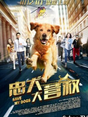 王爷的宠妃